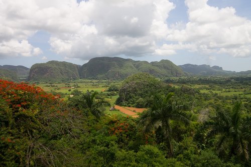 cuba  vinales  nature