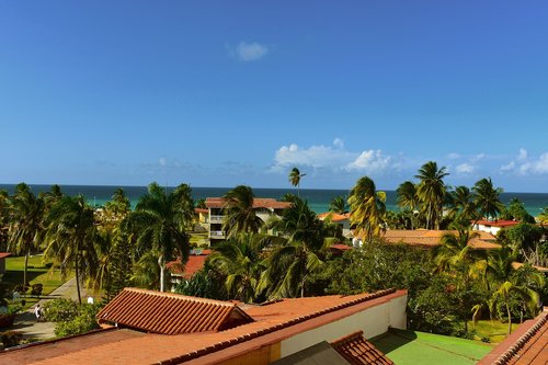 cuba  palm trees  view
