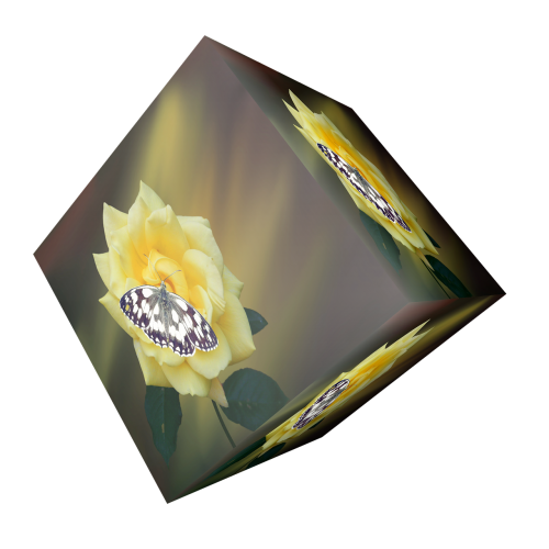 cube flower blossom
