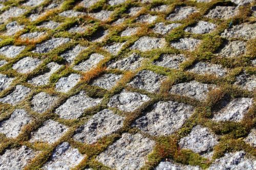 cube pavement model