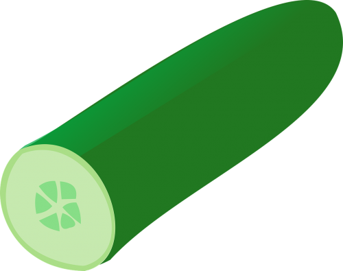 cucumber fruit green