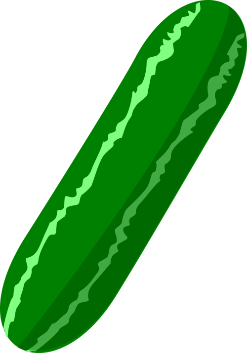 cucumber food greens