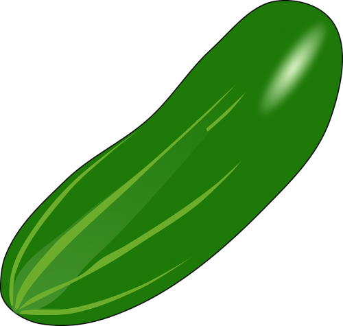 cucumber eat edible