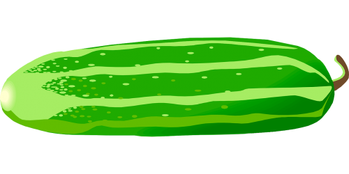cucumber vegetable green