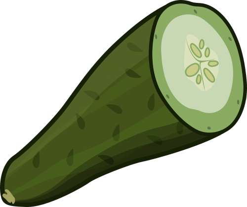 cucumber cut green