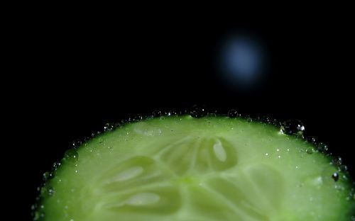 cucumber slice vegetable
