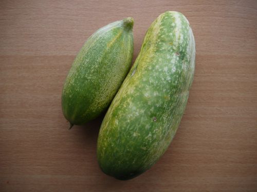cucumber cucumbers vegetables