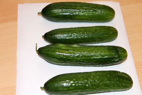 cucumber vegetables vegan
