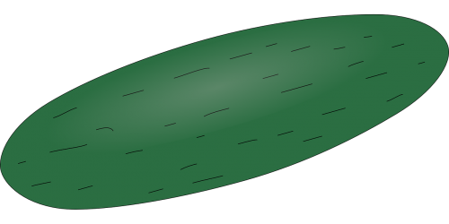 cucumber vegetable melon