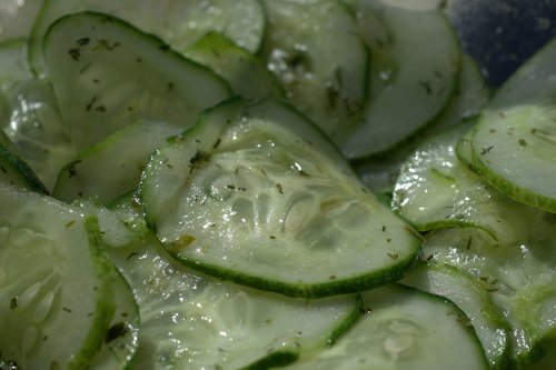 cucumber  salad  fresh