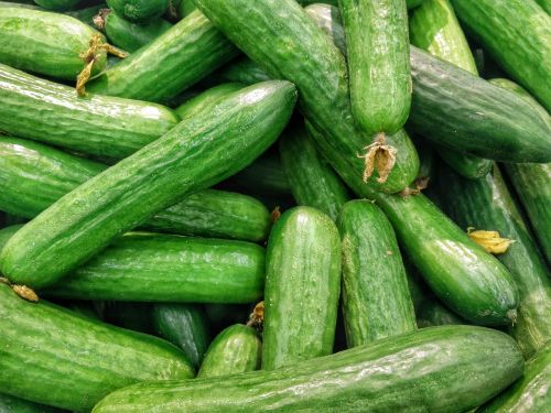 cucumbers green food