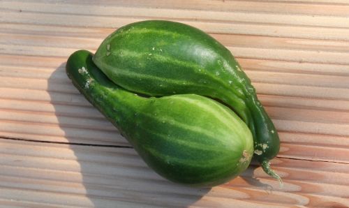 cucumbers pair vegetables