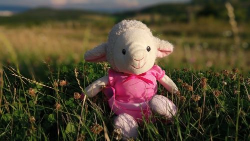 cuddly sheep ovečka toy