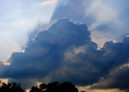 Cumulus Cloud