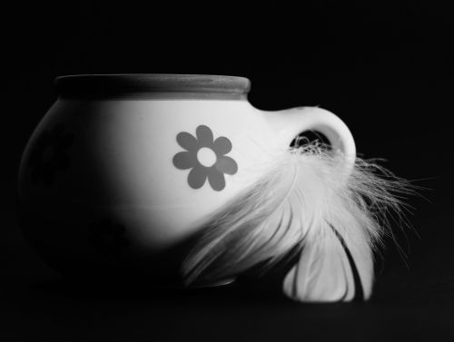 cup black and white feather