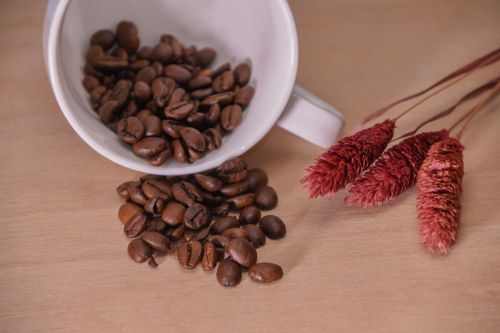 cup grain coffee coffee