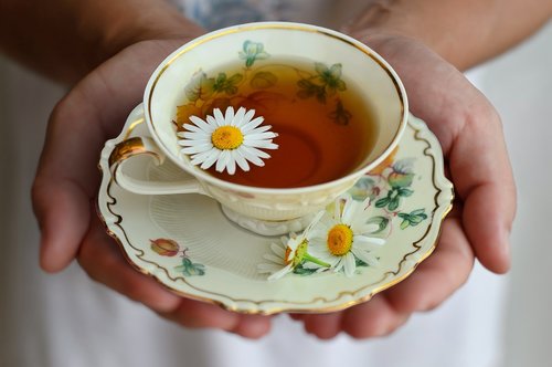 cup  tea  porcelain