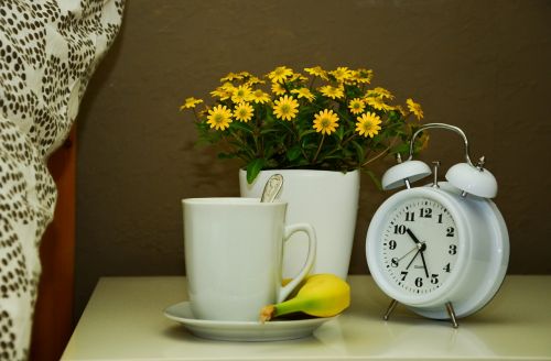 cup bed flowers