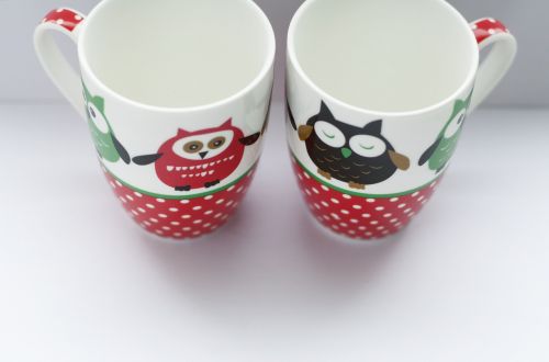 cup owl home
