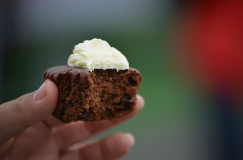 cupcake muffin dessert