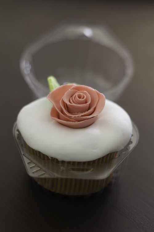 cupcake food rosa