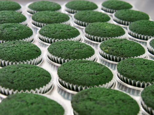 cupcakes green st patrick
