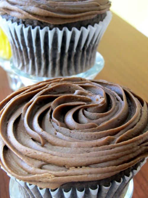 cupcakes chocolate icing