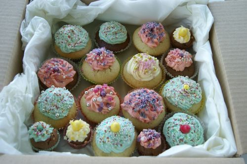 cupcakes colorful color