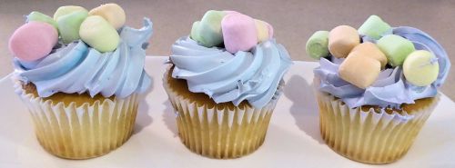cupcakes blue frosting mini marshmallows