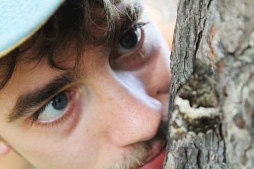 curiosity man butterfly