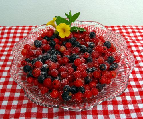 currant berries fruits