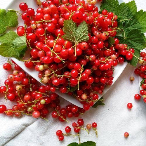 currant red vitamin