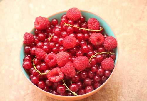 currant  raspberries  fruit