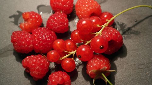 currants raspberries berries