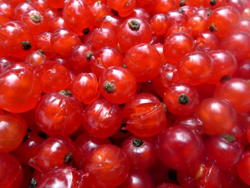 currants berries soft fruit
