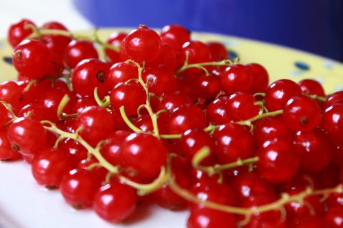currants fruit red