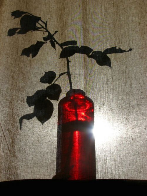 curtain vase red