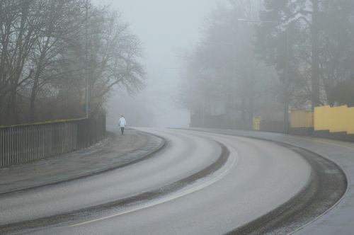 curved road winter