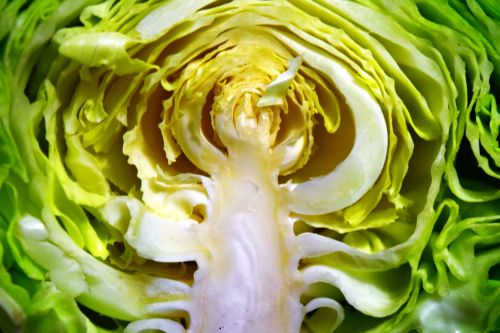 Cut Cabbage 2