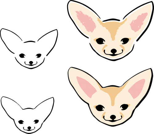 cute fennek fox