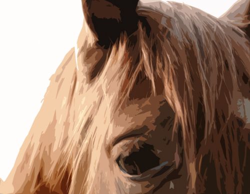 Cutout Image Of Horse