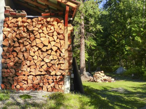 cutted wood stack
