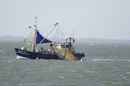 cutter  sea  boat