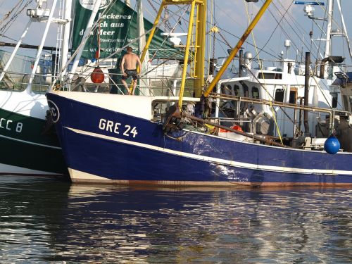 cutter fishing vessel shrimp