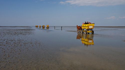 cuxhaven wadden sea ebb