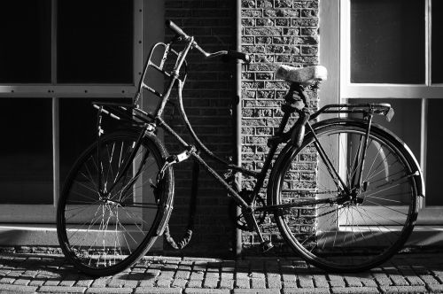 cycle transport still
