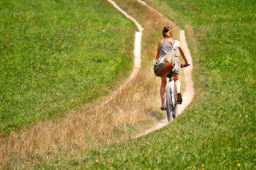 cyclists away meadow