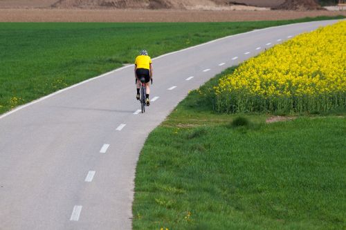cyclists road mark