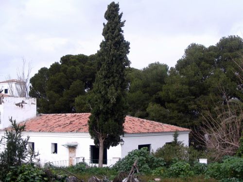 cypress landscape house