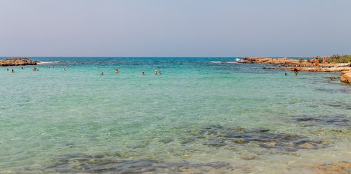 cypress  beach  sea